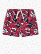 The Cardinals Game Day Fit (Toddler Swim Trunk) - Image 1 - Chubbies Shorts