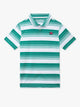 The Hole in One Hue (Range Polo) - Image 1 - Chubbies Shorts