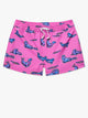 The Lil Seal Deals (Toddler Swim Trunk) - Image 1 - Chubbies Shorts