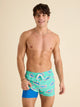 The Apex Swimmers 4