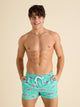 The Apex Swimmers 4