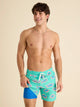 The Apex Swimmers 7