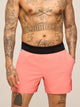 The Chili Peppers (Premium Ultimate Training Short) - Image 1 - Chubbies Shorts