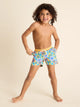 The Fish Tanks (Toddler Swim Trunk) - Image 1 - Chubbies Shorts