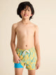 The Floral Explorers (Boys Lined Classic Swim Trunk- Shorter) - Image 1 - Chubbies Shorts