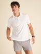 The Go To (Performance Polo) - Image 1 - Chubbies Shorts