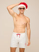 The Holiday Flamingles (Rigid Swim Trunk) - Image 1 - Chubbies Shorts
