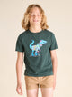 The Meteor Weather (Youth Non Pocket T-Shirt) - Image 1 - Chubbies Shorts
