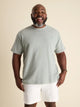 The Sage (Oversized Tee) - Image 1 - Chubbies Shorts