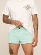 The Seafoam Glasses 2