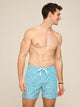 The Turquoise Tides 5.5