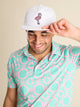 The Vanmingo (Core Hat) - Image 1 - Chubbies Shorts