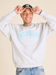 The We Live For... (Comfort Crewneck) - Image 1 - Chubbies Shorts