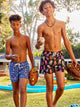 The Don't Be Jellies (Boys Classic Swim Trunk- Shorter) - Image 1 - Chubbies Shorts