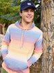 The Malibu Sunrise (Cloud 10 Hoodie) - Image 2 - Chubbies Shorts