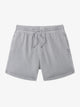 The Steel Grays (Comfort Short) - Image 1 - Chubbies Shorts