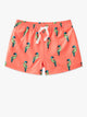 The Talk Of The Tropics (Toddler Classic Swim Trunk) - Image 1 - Chubbies Shorts
