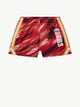 The Color Blitz 49ers (Boys Mesh Shorts) - Image 1 - Chubbies Shorts