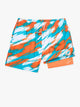 The Color Blitz Dolphins 5.5