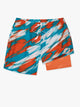 The Color Blitz Dolphins (Boys Lined Swim Trunk)