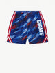 The Color Blitz Giants (Boys Mesh Shorts)