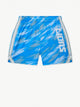 The Color Blitz Lions (Mesh Short)