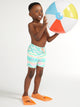 The Lil Fuegos (Kids Swim) - Image 1 - Chubbies Shorts